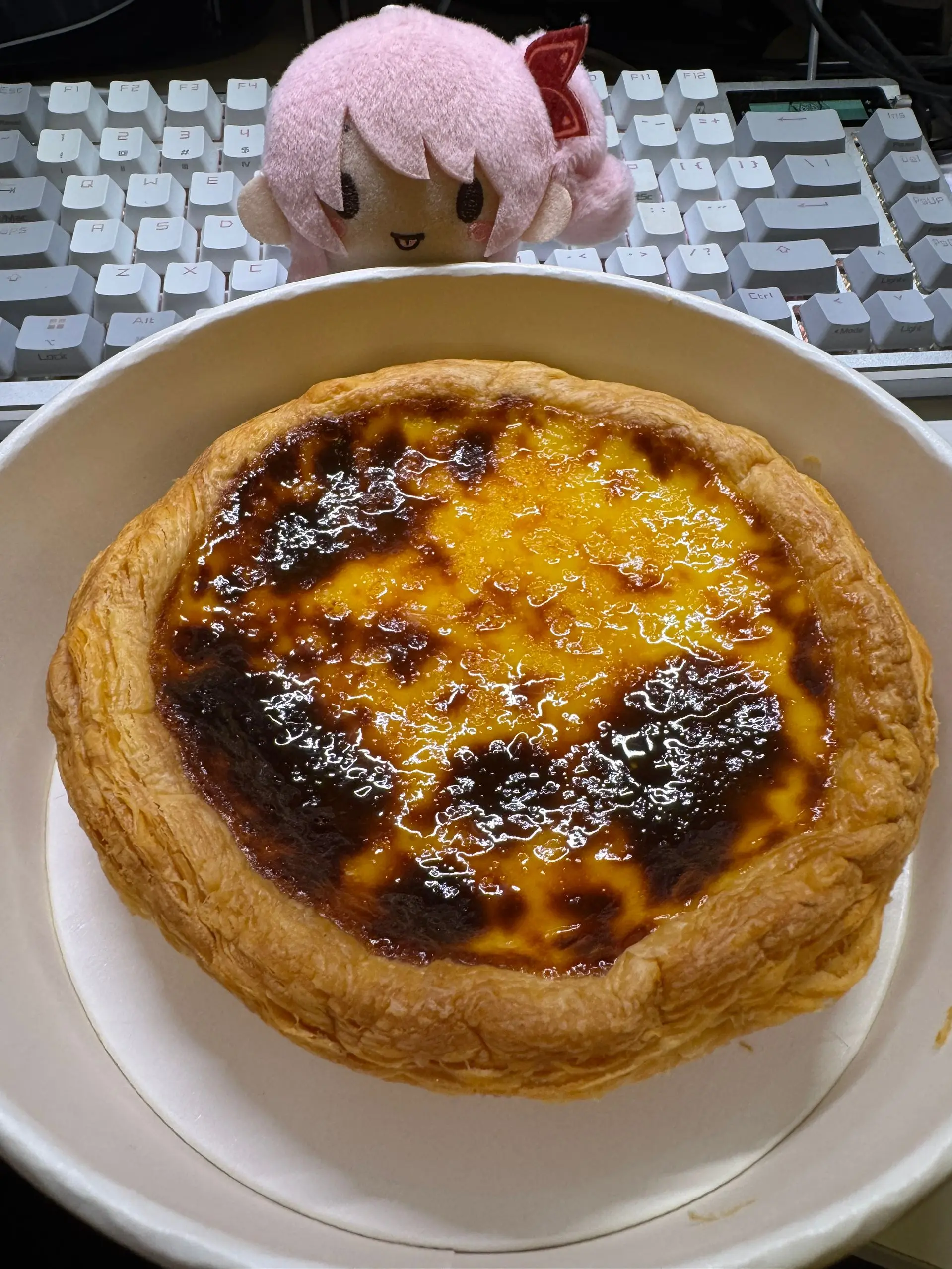图 1-1 可爱的mzk和生日蛋挞 图 1-1 可爱的mzk和生日蛋挞